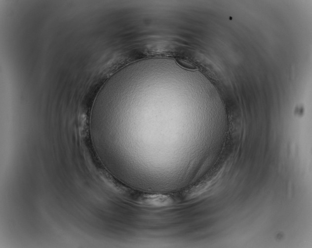 X0000098160087200805011441