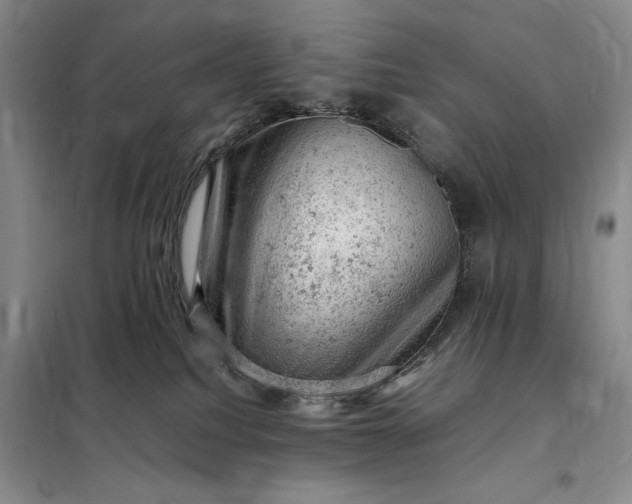 X0000098160088200805011441