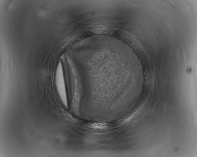 X0000098160089200805011441