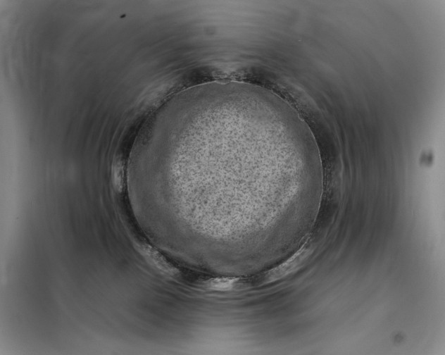 X0000098160090200805011441