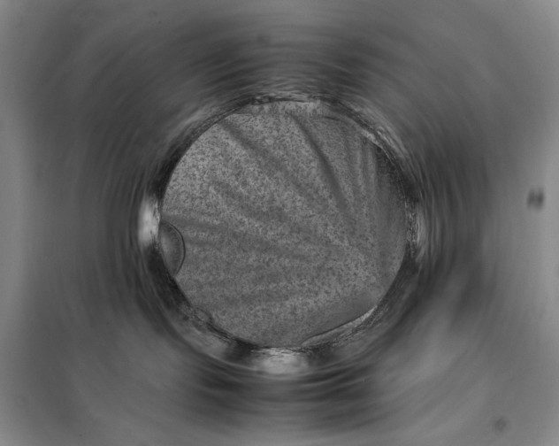 X0000098160095200805011441
