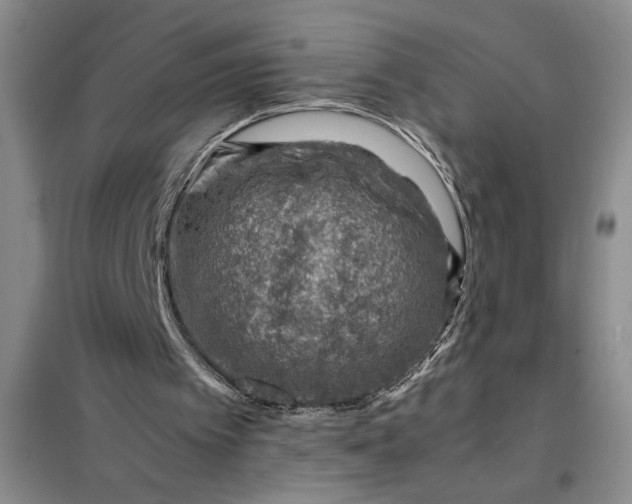 X0000098160097200805011440