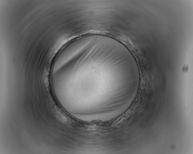 X0000098160098200805011440