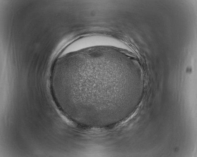 X0000098160101200805011440