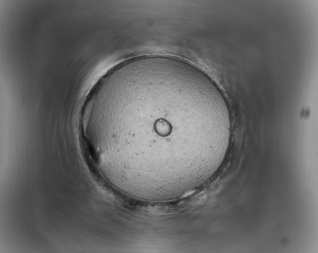 X0000098160103200805011440