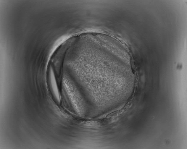 X0000098160104200805011440