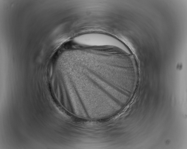 X0000098160105200805011440