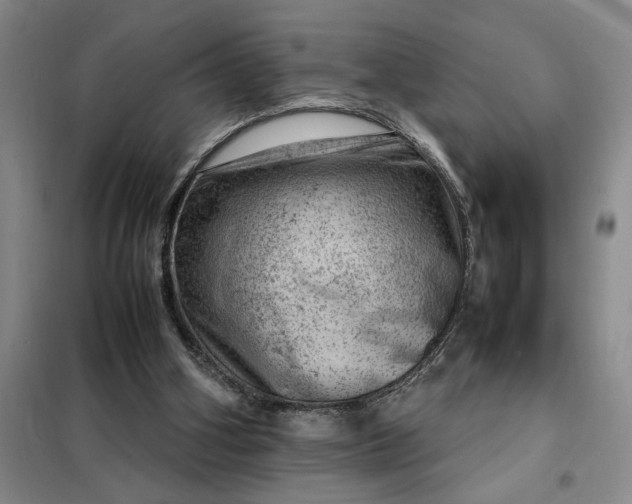 X0000098160106200805011440