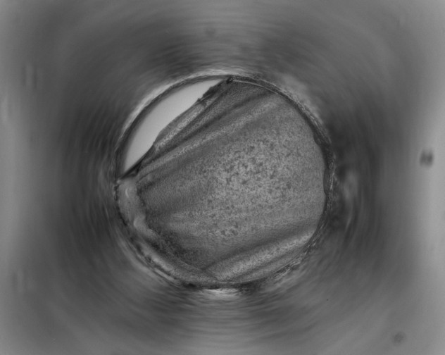 X0000098160108200805011440