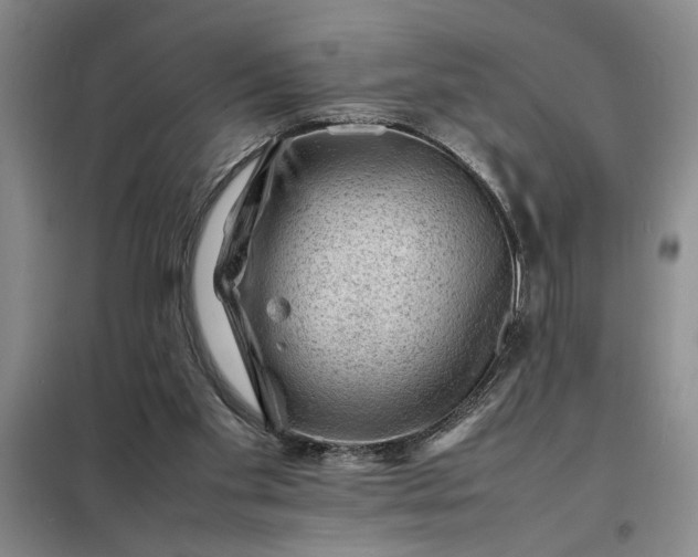 X0000098160109200805011440