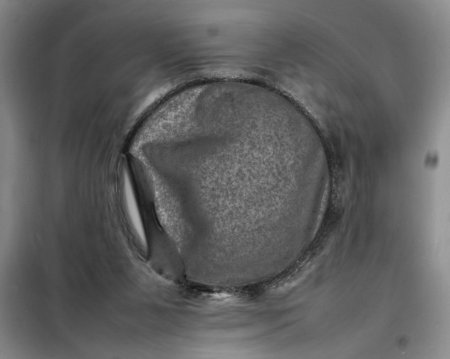 X0000098160111200805011440