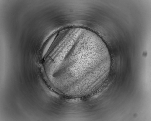 X0000098160112200805011440