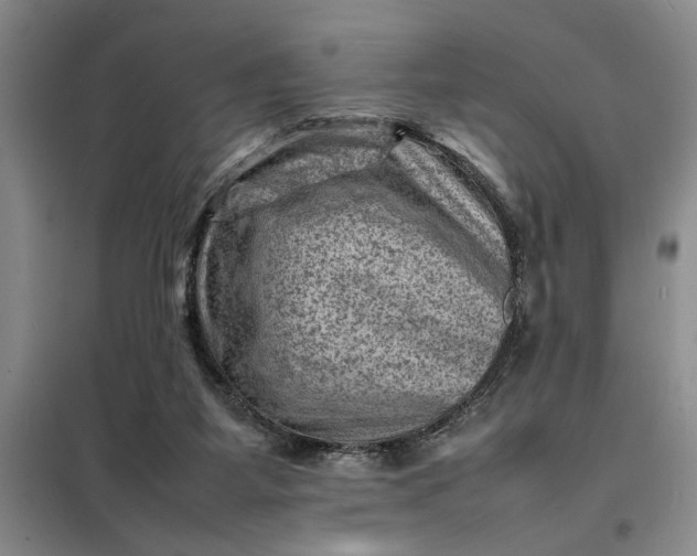 X0000098160115200805011440
