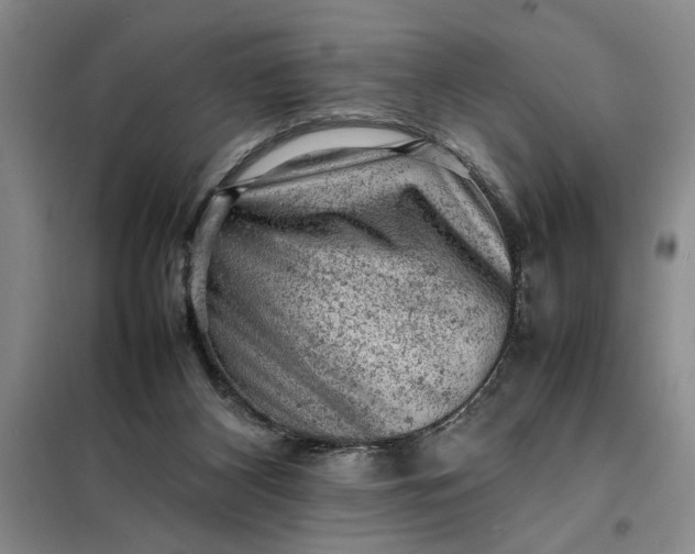 X0000098160116200805011440