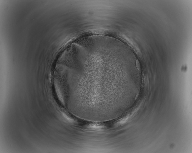 X0000098160117200805011440