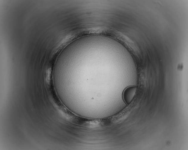 X0000098160118200805011440