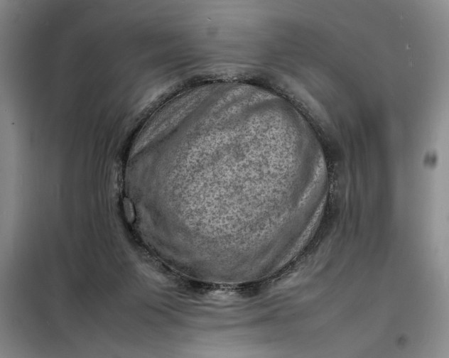 X0000098160119200805011440