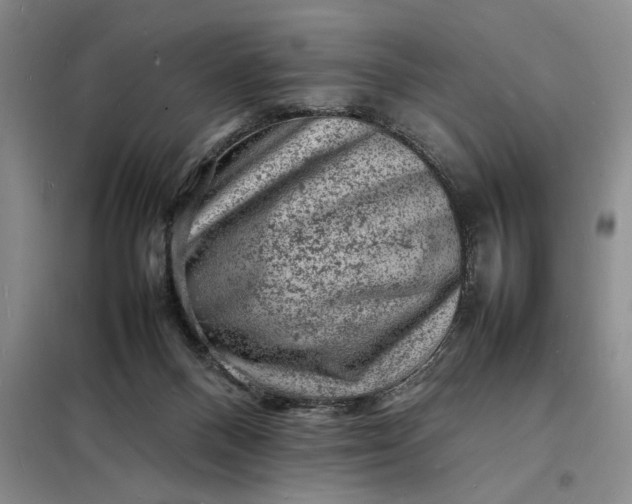 X0000098160120200805011440