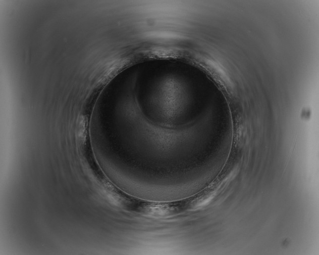 X0000098160121200805011440