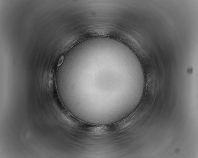 X0000098160122200805011440
