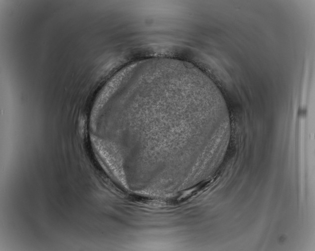 X0000098160123200805011440