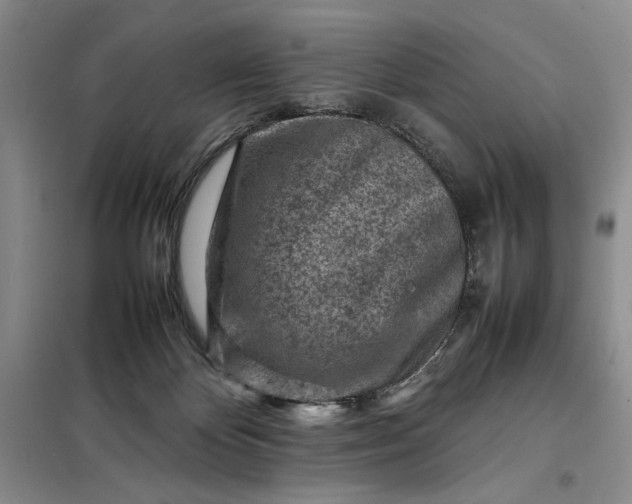 X0000098160124200805011440
