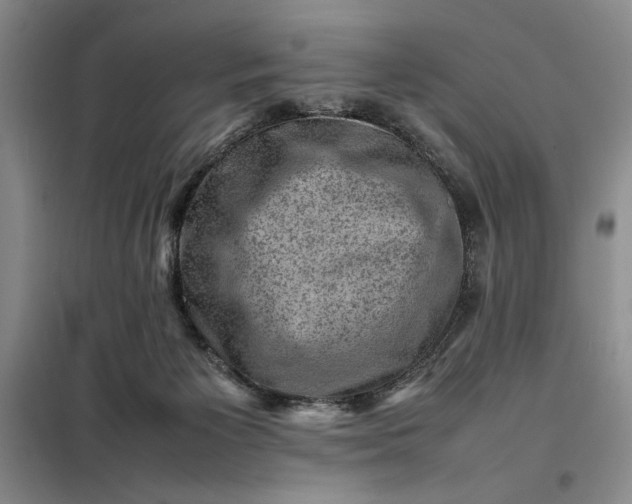 X0000098160125200805011440