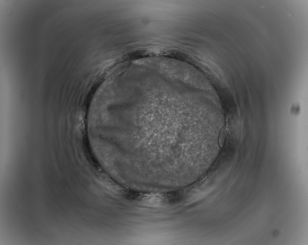 X0000098160127200805011440
