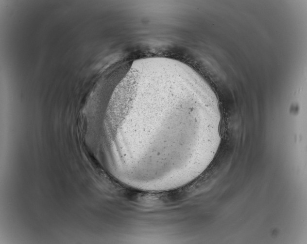 X0000098160129200805011440