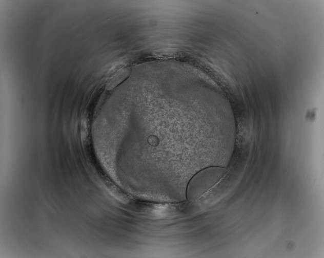 X0000098160130200805011440