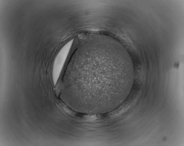 X0000098160131200805011440