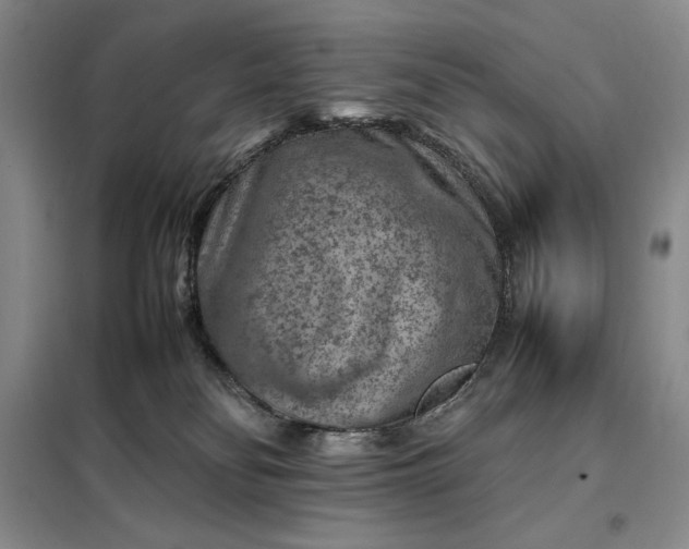 X0000098160134200805011440