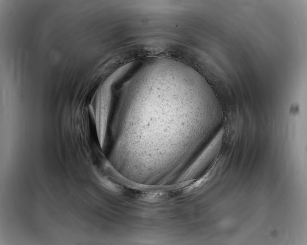 X0000098160136200805011439