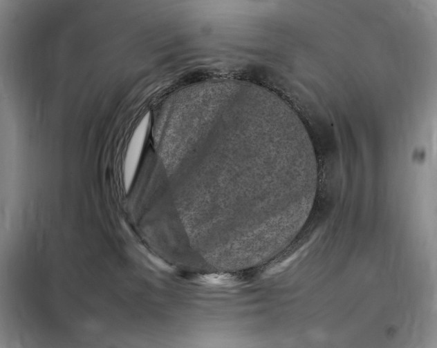 X0000098160137200805011439