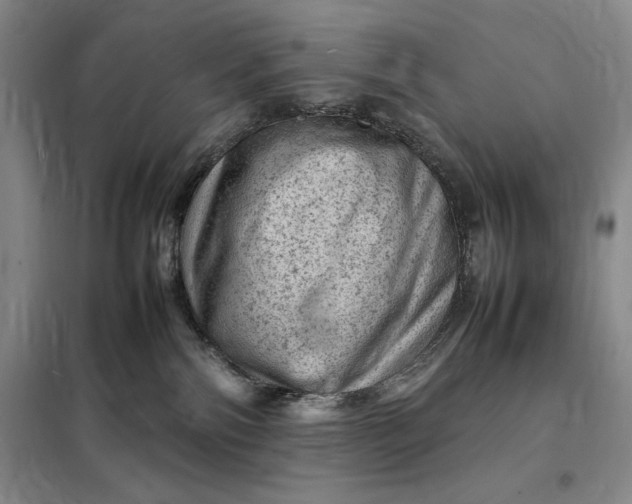 X0000098160138200805011439