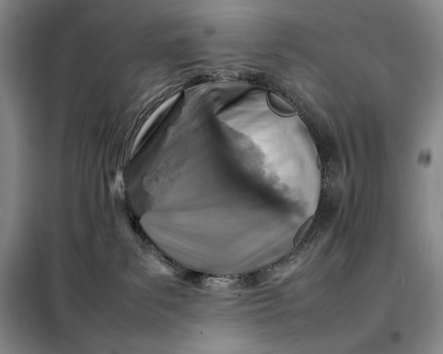 X0000098160139200805011439