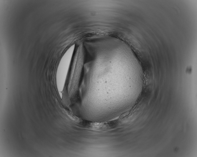 X0000098160141200805011439