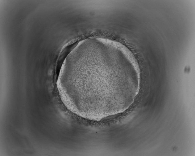 X0000098160144200805011439