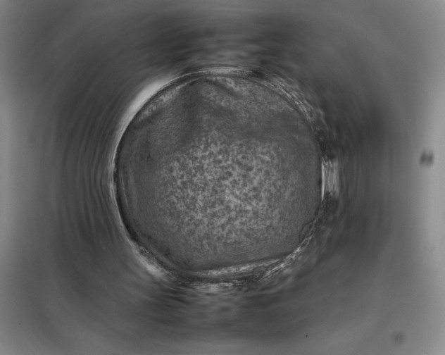 X0000098160147200805011439