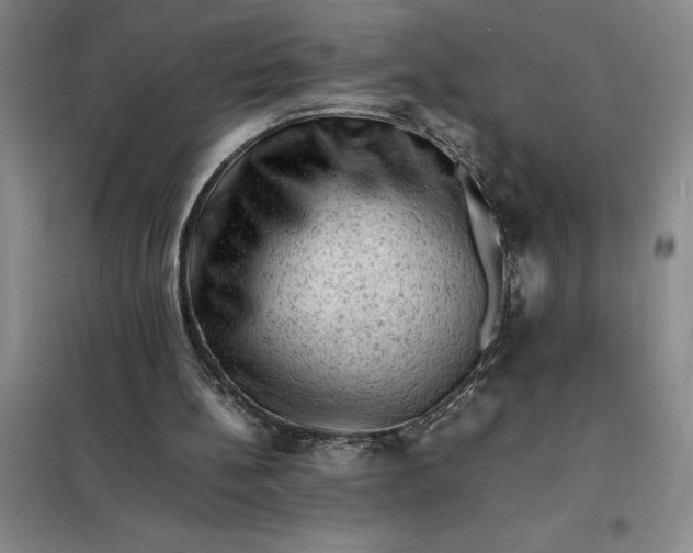 X0000098160148200805011439