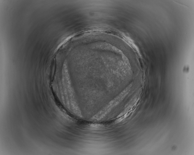X0000098160154200805011439