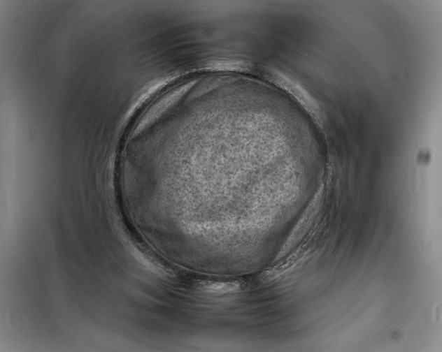 X0000098160155200805011439