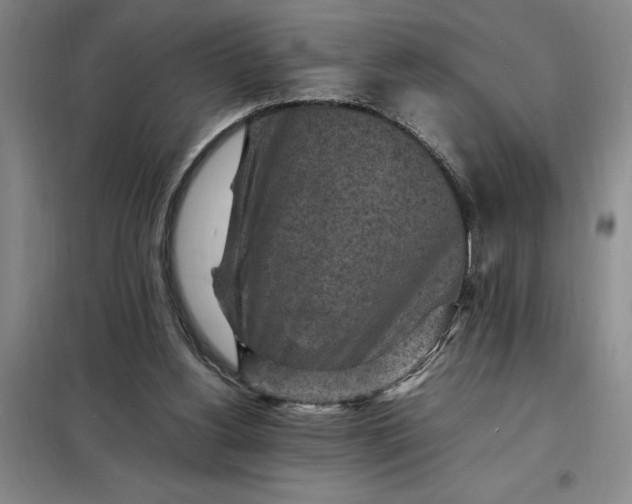 X0000098160156200805011439