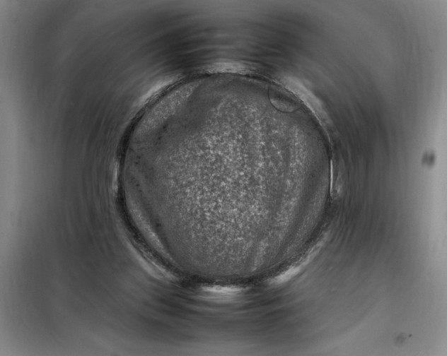 X0000098160157200805011439