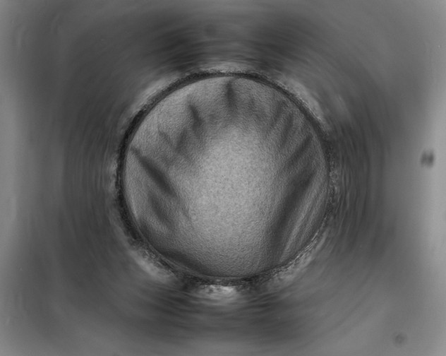 X0000098160159200805011439