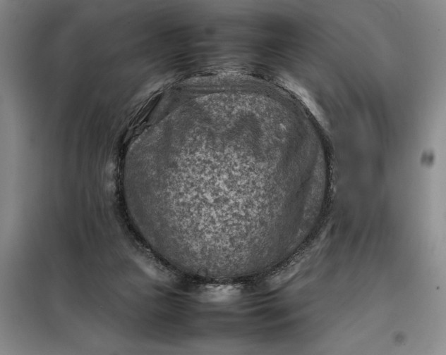 X0000098160161200805011439