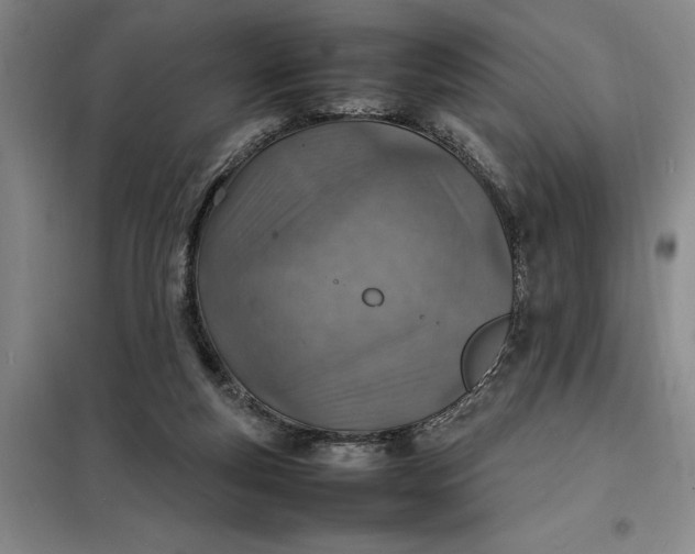 X0000098160163200805011439