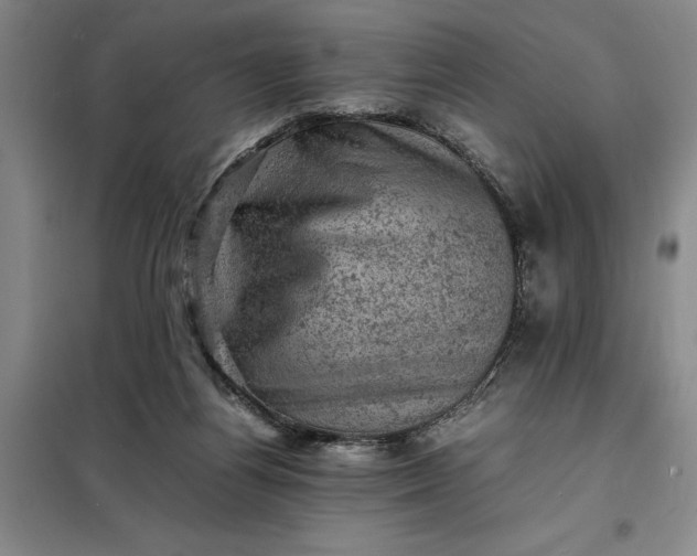 X0000098160164200805011439