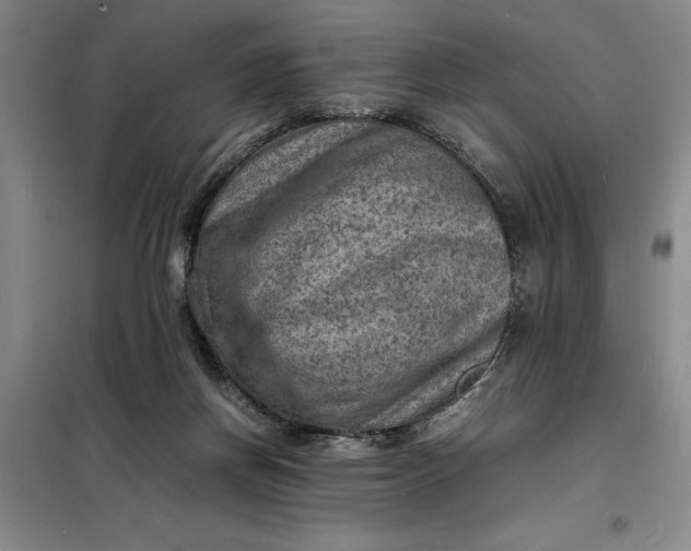 X0000098160166200805011439