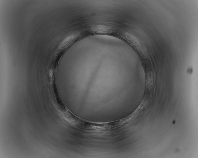 X0000098160167200805011439